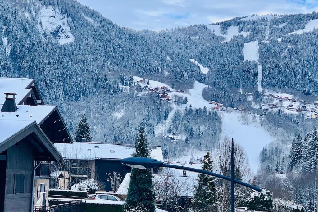 Vue Montblanc 5mn Piste2 Les Trabets