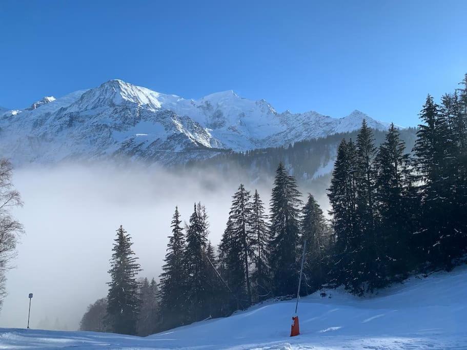 Vue Montblanc 5mn Piste2 * Les Trabets