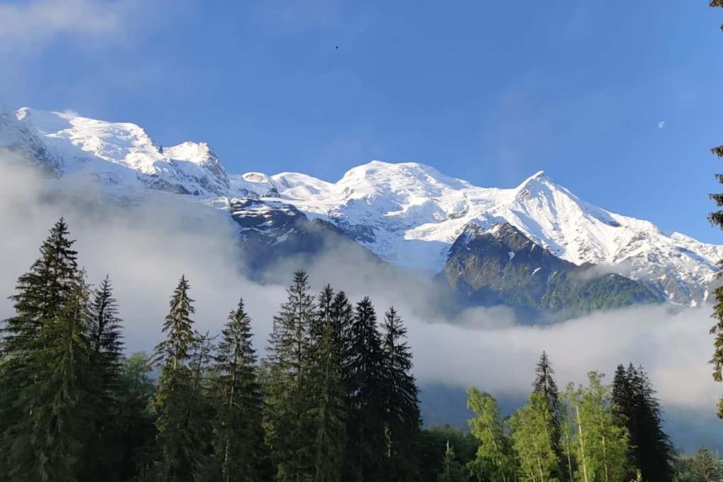 Vue Montblanc 5mn Piste2 *