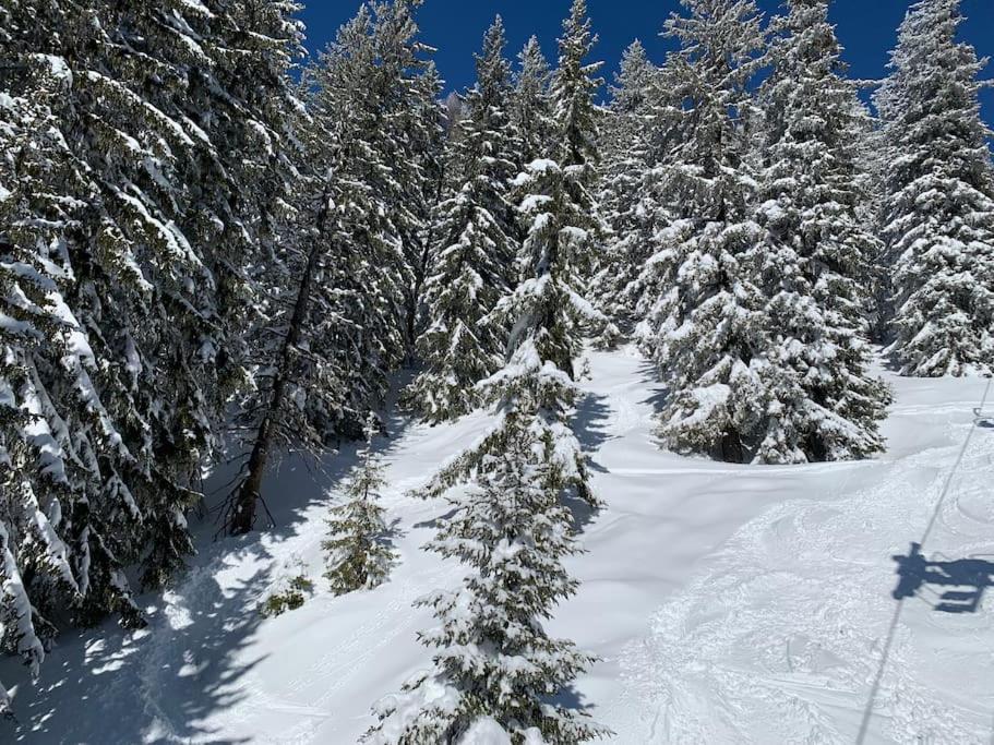 Vue Montblanc 5mn Piste2 Apartment