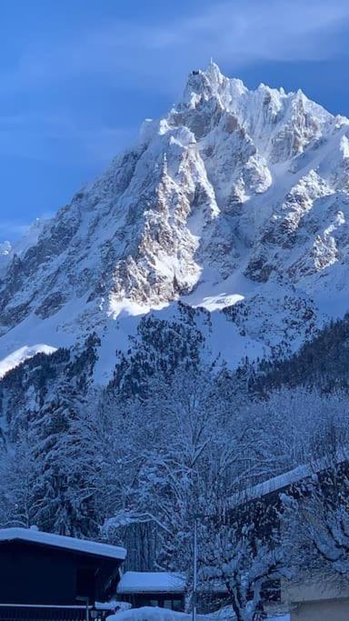 Apartment Vue Montblanc 5mn Piste2